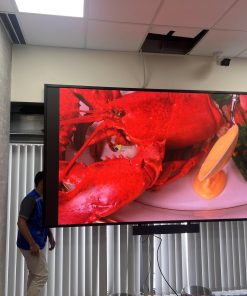 led-phong-hop-1-247x296